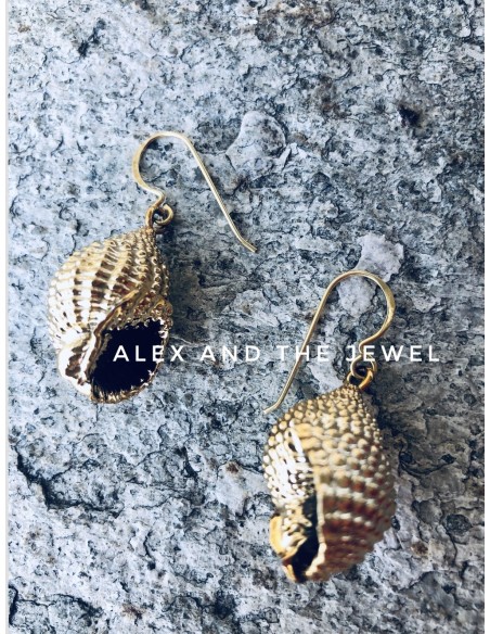 Κόσμημα σκουλαρίκια με επιχρυσωμένο φυσικό κοχύλι σε γάντζους από ασήμι 925 επιχρυσωμένο Thais