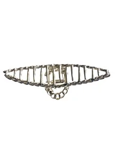 Κοκαλάκι κλάμερ σε χρυσό 2