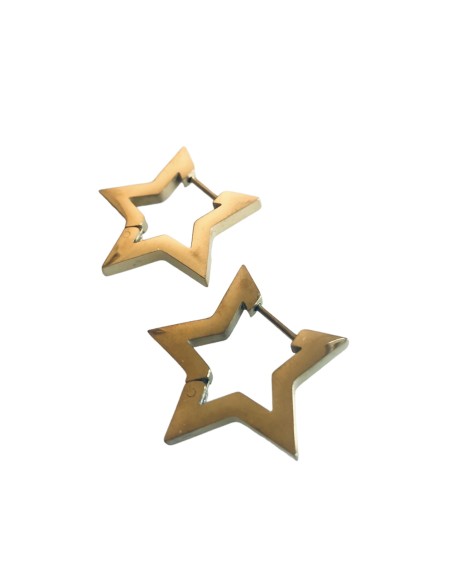 Σκουλαρίκια από ανοξείδωτο χειρουργικό ατσάλι σε σχέδιο αστέρι στην απόχρωση του χρυσού και του ασημί Star