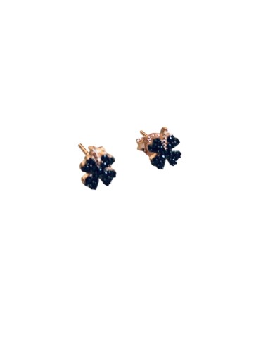Σκουλαρίκια από ασήμι 925 και μαύρα ζιργκόν Eliss