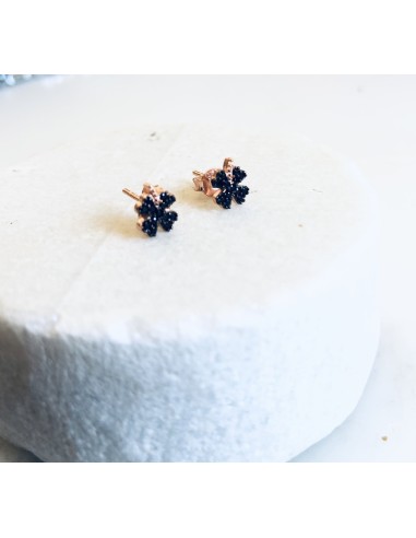 Σκουλαρίκια από ασήμι 925 και μαύρα ζιργκόν Eliss